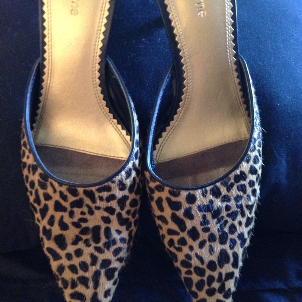 Mules - Picture 3 of 3